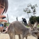 신우농장 | AU2.🇦🇺