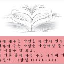 잠언디자인