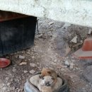 장군농장 이미지