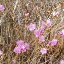 안성(부산) 이미지