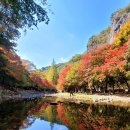 강천산군립공원(현수교) 이미지
