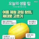 여름 제철 과일 참외 제대로 고르기 옮긴글 이미지