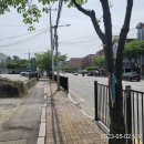 치악체육관(54029) 이미지