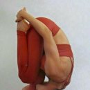 나마스떼 Daum카페