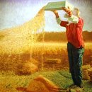 알곡농장 이미지