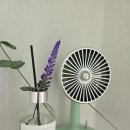 향기로운집 | ​[코코도르] 향기로운 집 꾸미기 완성! 내 돈 내산 디퓨저 리얼 후기