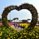 국화어린이공원 이미지