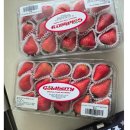 농업회사법인 신화유지㈜ | 골드베리 딸기 총정리 🍓 속이 노란 황금빛 과육? 망고와 자두 맛이 나는 수출 1위 신품종 완벽 해부