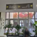 한솔동_복합커뮤니티센터 정음관 | [수영장 리뷰] 세종 한솔동 복컴 수영장 (코오롱스포렉스 한솔점) 주말 자유수영 후기