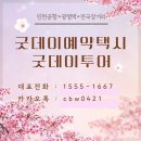 웰빙김밥나라 | 횡성 둔내 웰리힐리파크 인천공항 솔라티 대형택시 콜택시 콜밴 요금 비교 예약