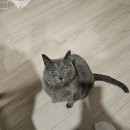 (주)만남이엔지 만남주유소 | 26년 3월 3주차 일상 : 이렇게 죽을 순 없어 버킷리스트 다 해봐야 해 짧은 인생 쥐뿔도 없는 게 스쳐...