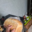 식빵나라앤
