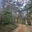 가산수피아 이미지