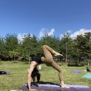 주식회사 위라이드 이미지