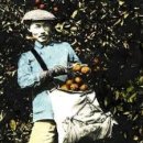 박용만농장 이미지