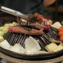오즈램스바 이미지