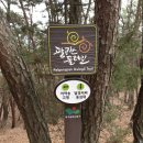 팔공산 둘레길 2구간 이미지