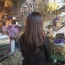 앤트카페 이미지