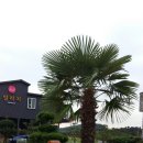 JNJ 빌리지 이미지