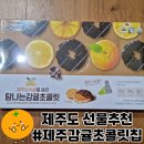 (주)탐나는초콜릿 | 제주 탐나는 감귤초콜릿 다크퐁당 후기