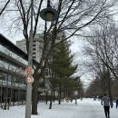 역삼-1281 | [캐나다일상] #29 처피뱅, 숨겨진 맛집 탐방, Sugo, Fonda balam, 페리카나