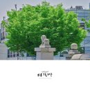 통영여자고등학교 이미지