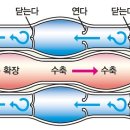 ﻿뇌 腦 .모세혈관 (毛細血管) 이미지