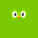 동그라미슈퍼 | 자기계발 듀오링고 영어 일본어 슈퍼 구독 내돈내산 솔직후기 추천? 비추천?