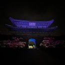 장안공원 | &#39;2025 수원화성 미디어아트&#39; 다녀온 후기(장안문~장안공원~화서문)