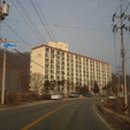 태장208 이미지
