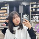 시영드라이 이미지