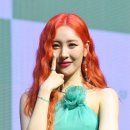 선미사진관 이미지