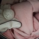 세탁하는 런드리임 이미지