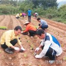 복내면사무소 이미지