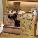 코슈아트 | [일산 카페] Bamgasi Cottage/밤가시코티지 일산러가 추천하는 일산 디저트 맛집 추천/일산 최애 카페