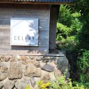 셀러리 | [제주] 동쪽 숙소 구좌읍 야외자쿠지가 있는 10만원대 숙소 셀러리 후기