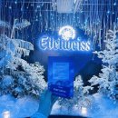 세븐일레븐 압구정로데오본점 이미지