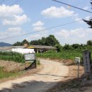 삼보목장 이미지