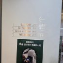 더힐동물의료센터 | 용산 한남동 동물병원 주말영업하는 곳, 더힐동물의료센터