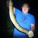 오바2 이미지