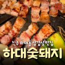 하대동230 | [하대숯돼지] 하대동 고기집 삼겹살 껍데기 맛집 솔직후기