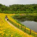 악양생태공원 이미지