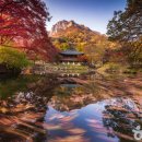 순천-35호 이미지