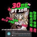 원헬스PT 이미지