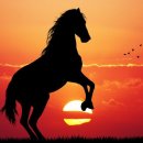 서울척척신경외과의원 이미지