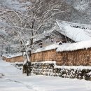 가곡쉼터 | 고창 선운사 겨울 풍경이 가장아름다운 시기 (위치,주차요금 정보)