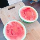 승수농장 이미지