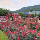 이곡공원앞 이미지