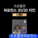 프로애견 이미지