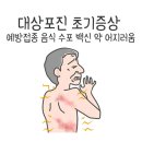 대상포진 초기증상 후기 예방접종 대상포진에 좋은 음식 흉터 수포 백신 약 어지러움